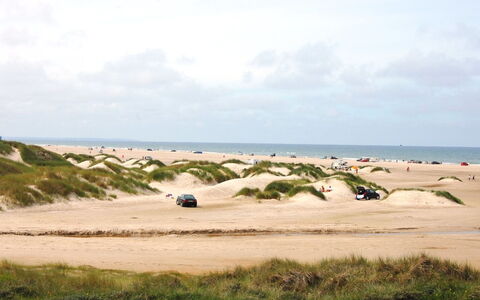 Rauli - 50M from the Sea: Lucht, Ecoregio, Wolk, Zand, Cumulus, Strand