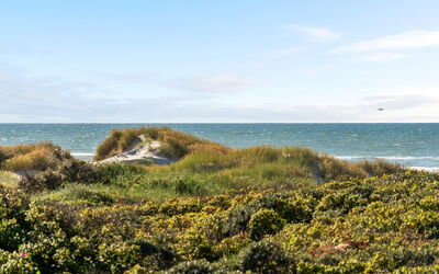 Rauli - 50M from the Sea