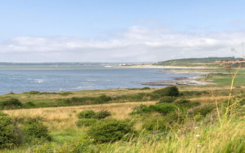 Aranja - 300M to the Fjord: Water, Watervoorraden, Zwemwater, Groen, Kust, Kust En Oceanic Landvormen, Vegetation, Ecoregio, Horizon, Grasland