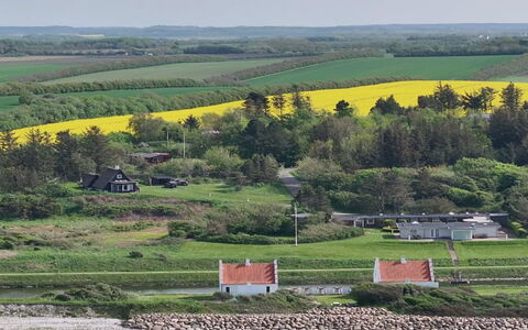 Aranja - 300M to the Fjord: Groen, Gras, Landschap, Landelijk Gebied, Grasland, Huis, Land Lot, Plain, Veld