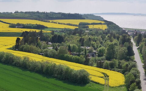 Aranja - 300M to the Fjord: Groen, Natuurlijk Landschap, Landschap, Veld, Grasland, Plain, Land Lot, Plantage, Landelijk Gebied, Landbouw