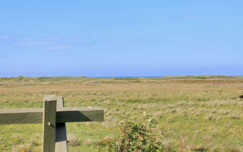 Annick - 300M from the Sea: Blauw, Struik, Verblijf, Groundcover, Tuin, Landgoed, Schaduw, Landscaping, Boerderij, Eco Hotel