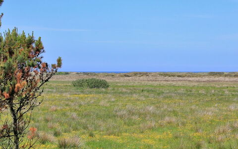 Annick - 300M from the Sea: Blauw, Struik, Verblijf, Groundcover, Tuin, Landgoed, Schaduw, Landscaping, Boerderij, Eco Hotel