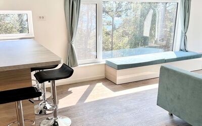Sky-Chalet 501.1: Meubilair, Venster, Gebouw, Hout, Comfort, Woonkamer, Architectuur, Schaduw, Gordijn, Interieur Ontwerp