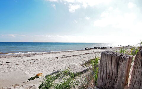 Salme - 100M from the Sea: Blauw, Struik, Verblijf, Groundcover, Tuin, Landgoed, Schaduw, Landscaping, Boerderij, Eco Hotel