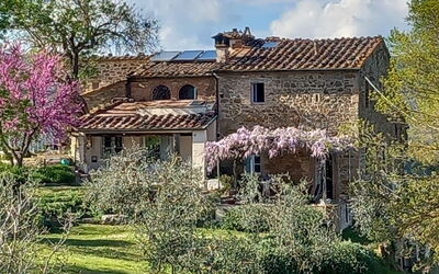 Podere Monteguidi: Bloem, Fabriek, Lucht, Gebouw, Wolk, Venster, Boom, Natuurlijk Landschap, Huis, Gras