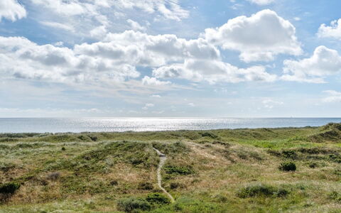 Aletha - 180M from the Sea: Dak, Huis, Deur, Verblijf, Schaduw, Siding, Werf, Landgoed, Backyard
