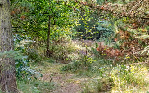 Orvokki - 125M from the Sea: Struik, Huis, Verblijf, Groundcover, Tuin, Garden Gebouwen, Siding, Landgoed, Gazon, Werf