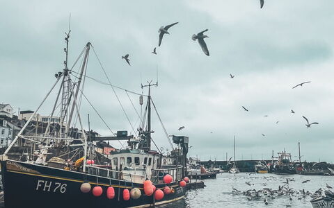 Blue Crab: Boot, Water, Watercraft, Schip, Zee, Boten En Varen - Materialen En Benodigdheden, Naval Architecture, Haven, Oceaan, Kanaal