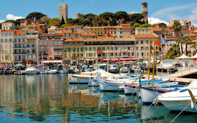 Cannes 487
