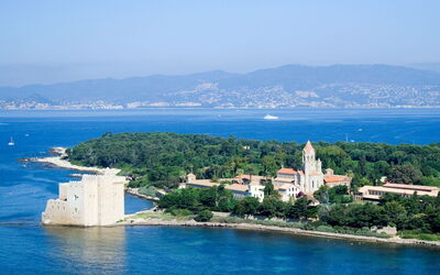 Cannes 487