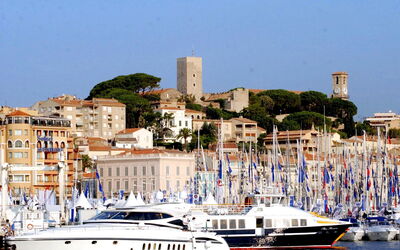 Cannes 487