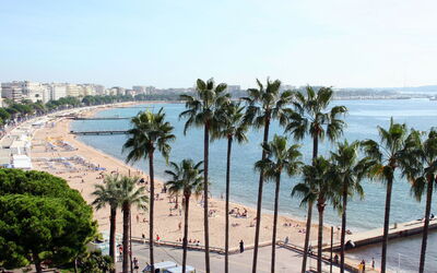 Cannes 487