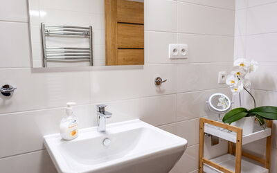 Accommodatie:&nbsp;Forest & Sauna 250.2