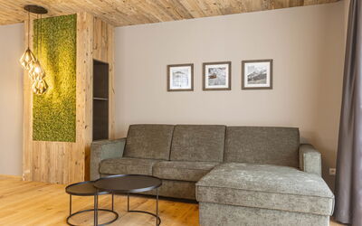 Premium mit 2 Schlafzimmern 900.8: Meubilair, Eigendom, Bankstel, Hout, Interieur Ontwerp, Verlichting, Comfort, Verdieping, Flooring, Woonkamer