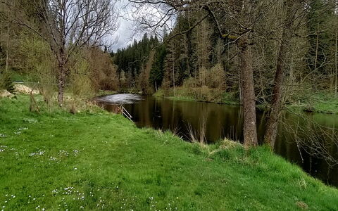 Reiter: Fabriek, Water, Natuurlijk Landschap, Land Lot, Boom, Waterloop, Gras, Bank, Oeverzone