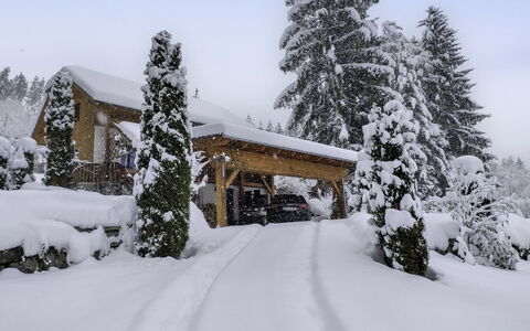 Reiter: Sneeuw, Boom, Winter, Afdeling, Huis, Huis, Verblijf, Freezing, Geologisch Fenomeen, Lariks