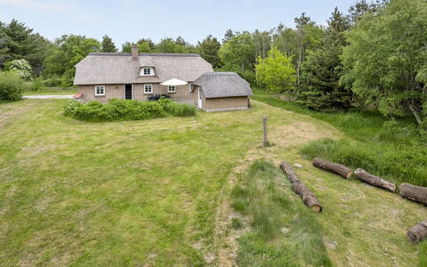 Osmo - 900M from the Sea: Gras, Grasland, Landschap, Ecoregio, Plain, Plantengemeenschap, Land Lot, Buitenmeubels, Prairie, Shrubland