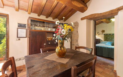 Accommodatie:&nbsp;Olinto 250.1