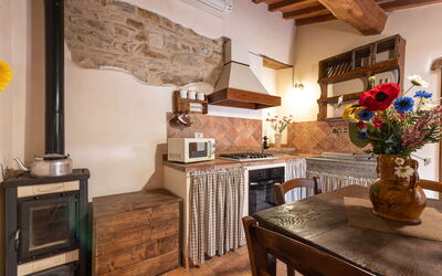 Accommodatie:&nbsp;Olinto 250.1