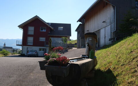 Luxenweid: Fabriek, Lucht, Venster, Gebouw, Bloempot, Huis, Land Lot, Verblijf, Woongebied, Gras