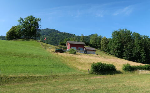 Luxenweid: Lucht, Fabriek, Boom, Natuurlijk Landschap, Helling, Wolk, Gras, Grasland, Huis, Berg