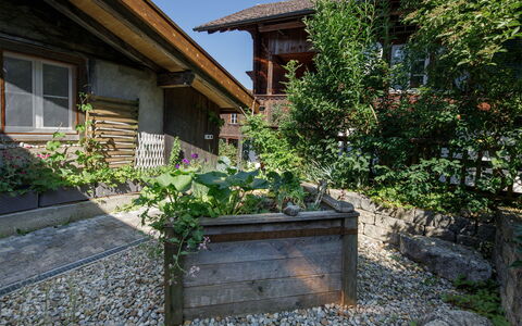 Brienzwiler 125: Struik, Huis, Tuin, Verblijf, Groundcover, Backyard, Landscaping, Werf, Bloempot