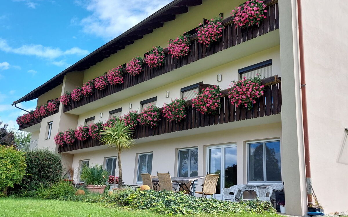 Accommodatie:&nbsp;Löwenzahn 37.6