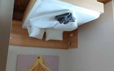 Accommodatie:&nbsp;Tulpe 37.5