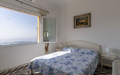 Accommodatie:&nbsp;Ruscus 619.3