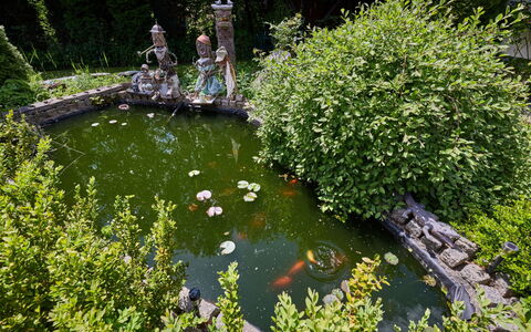 Desná V Jizerských Horách 407: Water, Groen, Waterloop, Struik, Tuin, Vijver, Visvijver, Waterpartij