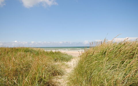 Fredsine - 900M from the Sea: Blauw, Struik, Verblijf, Groundcover, Tuin, Landgoed, Schaduw, Landscaping, Boerderij, Eco Hotel