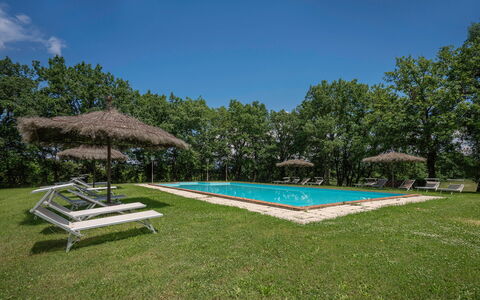Belvedere - Falceto, Ambra, Toscana: Lucht, Eigendom, Fabriek, Water, Zwembad, Schaduw, Boom, Huis, Land Lot, Gras