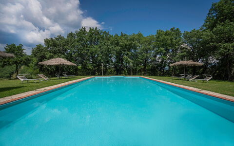 Belvedere - Falceto, Ambra, Toscana: Water, Wolk, Fabriek, Eigendom, Zwembad, Lucht, Azure, Boom, Schaduw, Samengesteld Materiaal