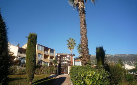 Le Jardin de Matisse: Lucht, Eigendom, Boom, Huis, Palmboom, Huis, Architectuur, Gebouw, Onroerend Goed, Woongebied