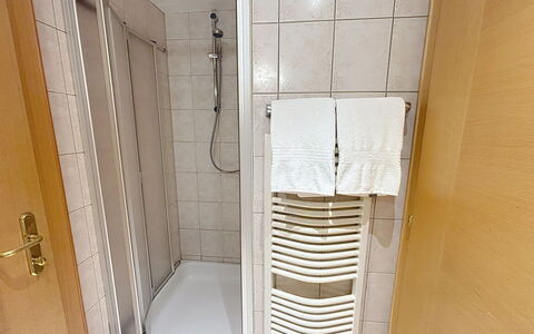 Ischgl 111: Flooring, Verdieping, Interieur Ontwerp, Kamer, Beits, Linens, Hardwood, Tegel, Deur Van De Douche