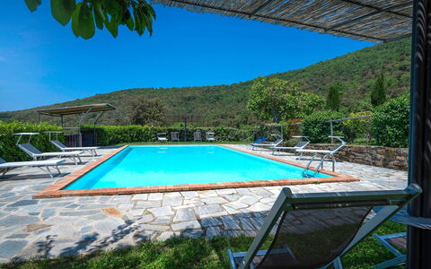Colle Degli Ulivi - Cortona, Pool, Nature, Privacy: Water, Lucht, Fabriek, Eigendom, Zwembad, Azure, Stoel, Schaduw, Boom, Gebouw