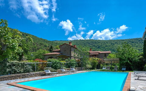 Colle Degli Ulivi - Cortona, Pool, Nature, Privacy: Water, Wolk, Lucht, Fabriek, Eigendom, Blauw, Groen, Zwembad, Azure, Boom