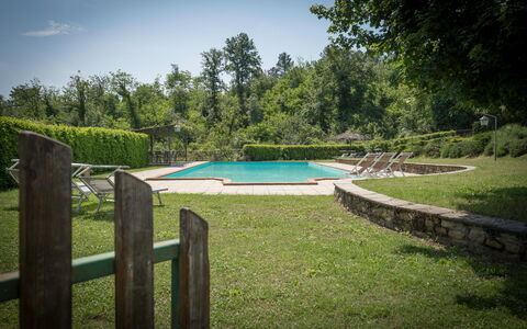Fonte Nuova - Badia Agnano, Toscana: Water, Lucht, Fabriek, Zwembad, Natuurlijk Landschap, Boom, Plantkunde, Schaduw, Zwemwater, Wolk