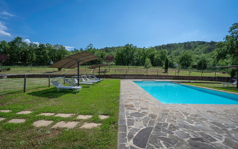 Leopolda In Selvarella Pool And Wi-fi: Lucht, Water, Eigendom, Fabriek, Wolk, Zwembad, Schaduw, Boom, Gras, Rechthoek