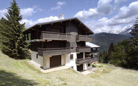 Saint Gervais 390: Wolk, Lucht, Fabriek, Gebouw, Boom, Berg, Natuurlijk Landschap, Huis, Land Lot, Hout