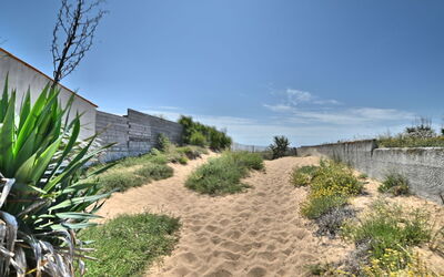 Horizon