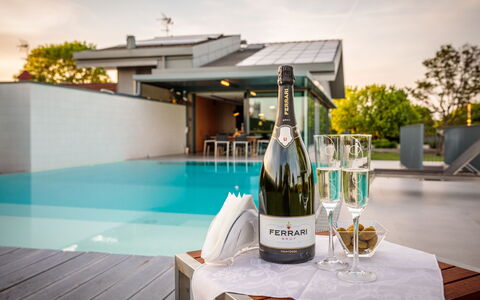 Villa Dalia Venezia: Fles, Tafel, Drinkware, Tableware, Glazen Fles, Barware, Wijn, Fabriek, Glaswerk, Water