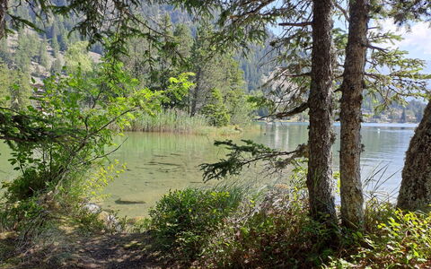 Champex 220: Water, Groen, Zwemwater, Natuur, Watervoorraden, Natuurlijke Omgeving, Natuurlijk Landschap, Vegetation, Zomer, Bank