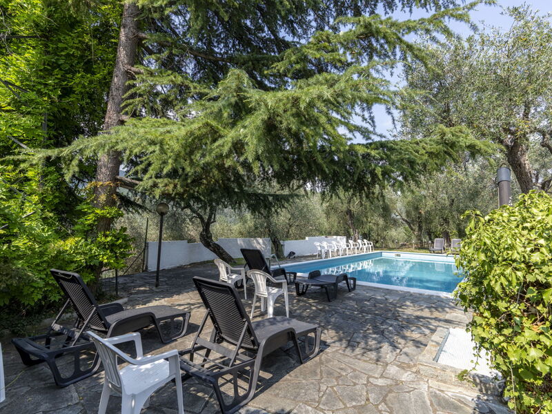 Accommodatie:&nbsp;Ulivo 615.2