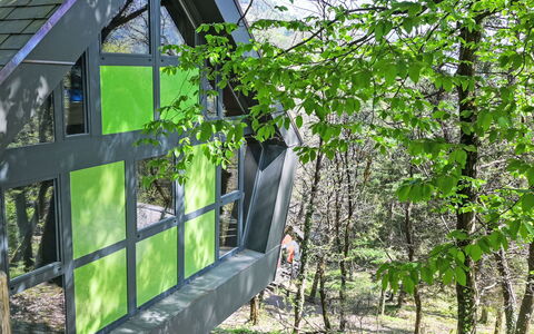 Bosco della Bella 6: Tuin, Bos, Garden Gebouwen, Schaduw, Jungle, Schuur, Blokhut, Backyard