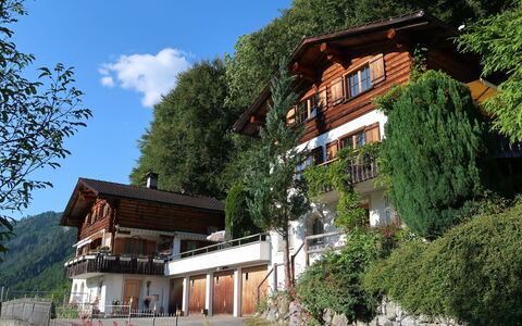 Chalet Bergnest: Bloem, Fabriek, Plantengemeenschap, Lucht, Plantkunde, Petal, Natuur, Berg, Natuurlijk Landschap, Vegetation