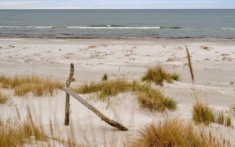 Sanela - 25M from the Sea: Meubilair, Interieur Ontwerp, Flooring, Hout, Verdieping, Plafond, Houten Vloer, Stoel, Tafel, Verlichting