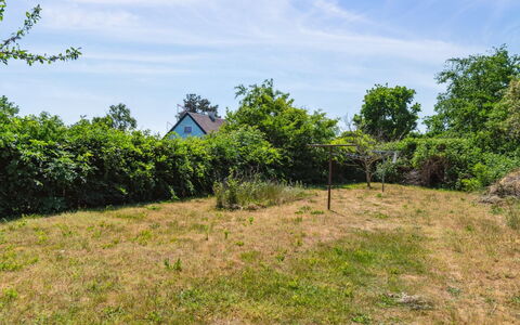 Riitta - 250M from the Sea: Vegetation, Struik, De Lente, Verblijf, Tuin, Schaduw, Backyard, Werf, Stoel