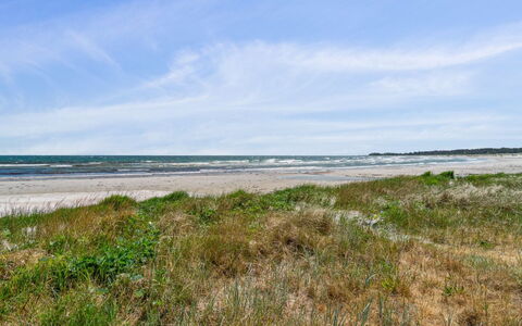 Riitta - 250M from the Sea: Vegetation, Struik, De Lente, Verblijf, Tuin, Schaduw, Backyard, Werf, Stoel